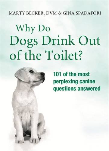 Why Do Dogs Drink Out Of The Toilet?