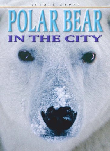 Why Don't Polar Bears Freeze? (Animal Puzzlers)