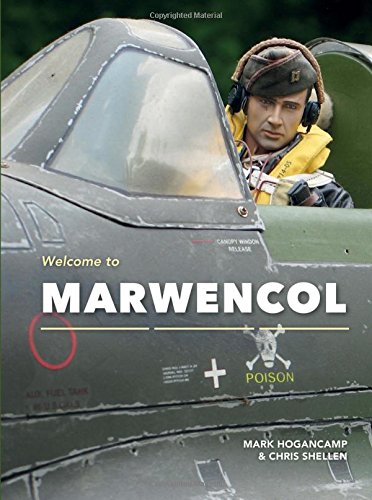 Welcome to Marwencol