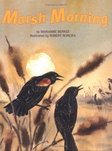 Marsh Morning (Single Titles)