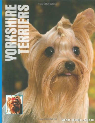 Yorkshire Terriers