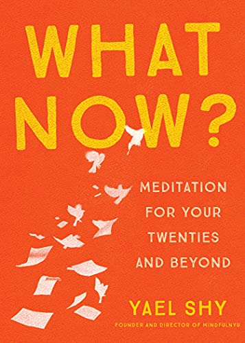 What Now?: Meditation for Your Twenties and Beyond