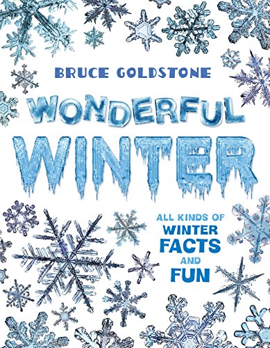 Wonderful Winter: All Kinds of Winter Facts and Fun (Season Facts and Fun)