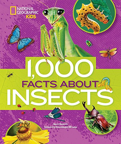 1,000 Facts About Insects