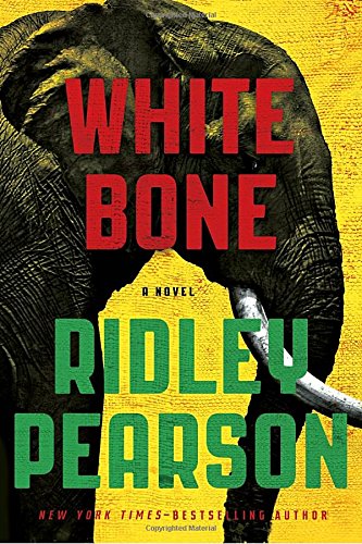 White Bone (A Risk Agent Novel)