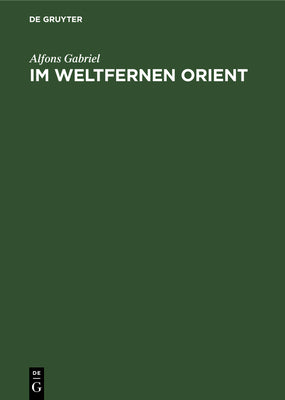 Im weltfernen Orient: Ein Reisebericht (German Edition)