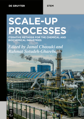 Scale-Up Processes: Iterative Methods for the Chemical, Mineral and Biological Industries (De Gruyter STEM)